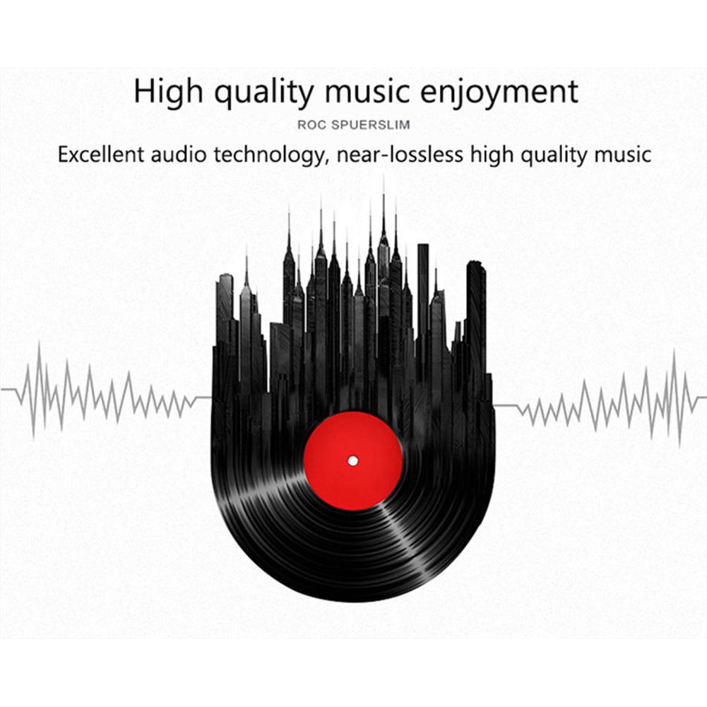 Auriculares intrauditivos con  - Audiophile Headphone Wired reseña y precio